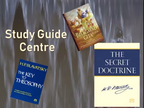 Study Guides