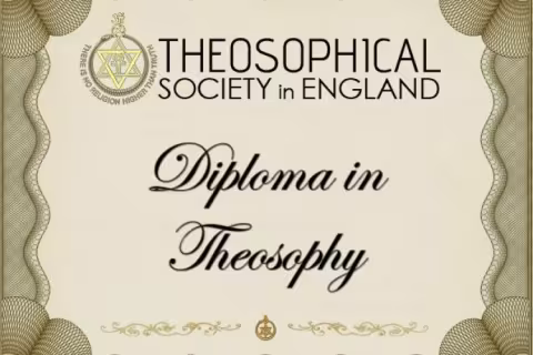 Diploma