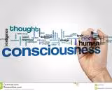 Consciousness