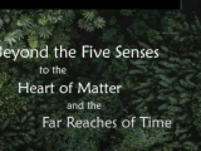 Beyond the Five Senses to the Heart of Matter and the Far Reaches of Time