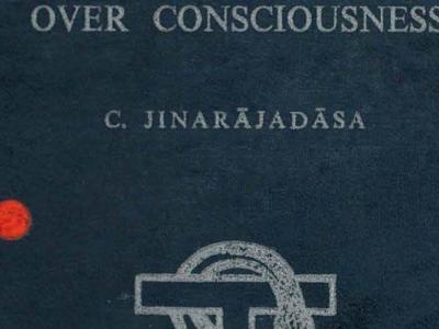 The Seven Veils over Consciousness